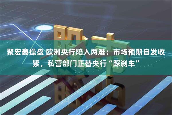 聚宏鑫操盘 欧洲央行陷入两难：市场预期自发收紧，私营部门正替央行“踩刹车”