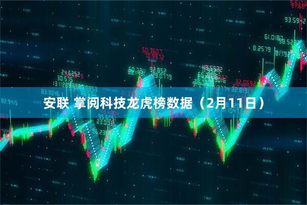 安联 掌阅科技龙虎榜数据（2月11日）